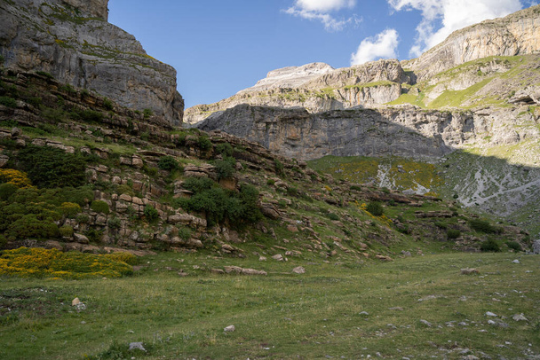 Murs de canyon de montagne dans les forêts du parc national d'Ordesa dans les Pyrénées espagnoles. Photo de haute qualité - Photo, image