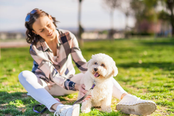 Szczęśliwa kobieta bawi się swoim białym bichon frise dog w słoneczny dzień w parku. - Zdjęcie, obraz