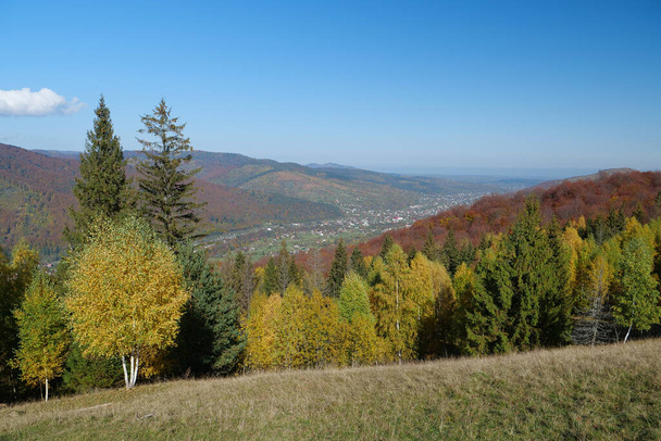 Piękny jesienny las w Karpatach. Niesamowity charakter Ukraińskich Karpat - Zdjęcie, obraz