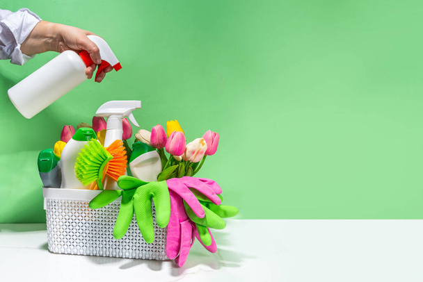 Zestaw środków czyszczących i naczynia, z wiosennych kwiatów na wysokim kolorze pastelowego zielonego tła. Wiosenne porządki. Ręce kobiety trzymać spray detergent, z rękawic czyszczących i chusteczek - Zdjęcie, obraz