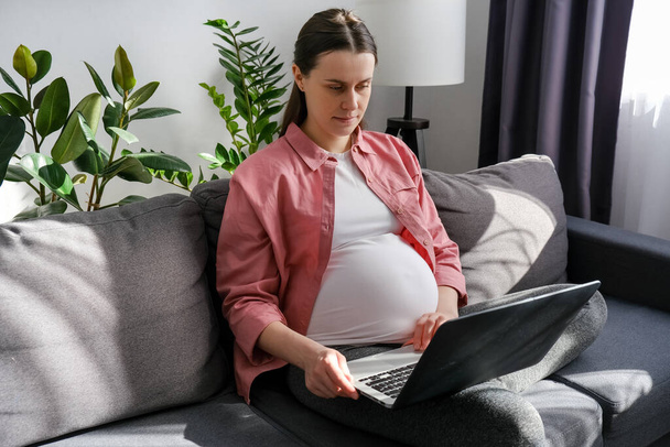 Close up of cute pregnant woman sitting on cozy sofa working from home, typing on pc laptop at big belly indoors, using online app, chatting, shopping on Internet, consulting doctor. Freelance concept - Valokuva, kuva