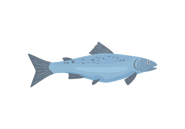 Trout fish icon or symbol flat vector illustration isolated on white background. Commercial freshwater fish for food packaging and seafood market or restaurants. - Vektör, Görsel
