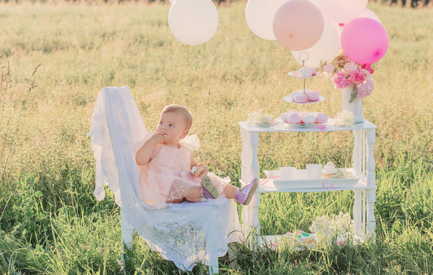 little girl celebrates her first birthday on sunny summer day - Photo, image