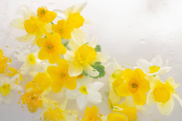 yellow spring flowers with raindrops on white marble background - Zdjęcie, obraz
