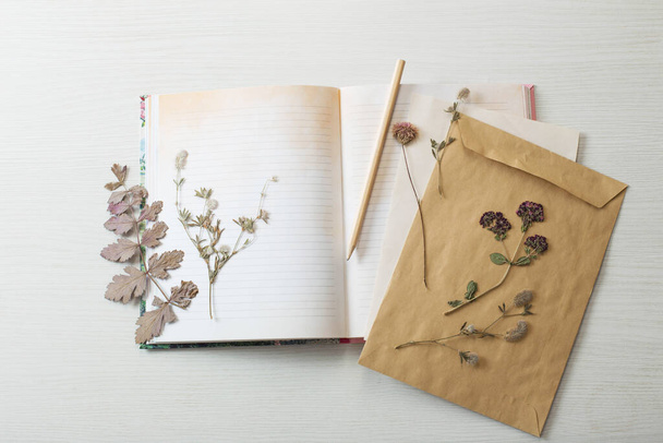 vintage composition of dried plants and old sheets of paper - Photo, Image