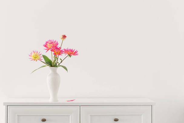 beautiful pink dahlia in white vase on white background - Foto, imagen