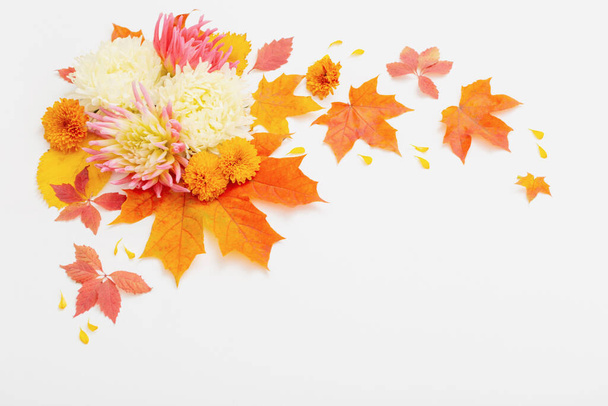 autumn leaves and  flowers composition on white background - Foto, Imagen