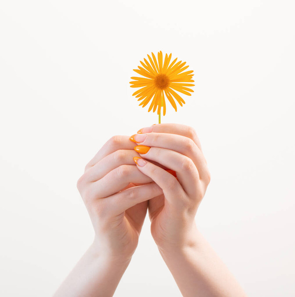 female hand with manicure with flower on white background - Photo, Image
