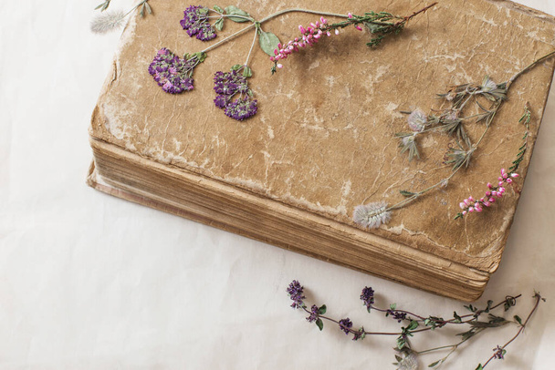 gedroogde bloemen met oud boek op oud papier - Foto, afbeelding