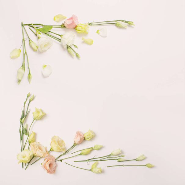 spring beautiful flowers on white background - Fotografie, Obrázek