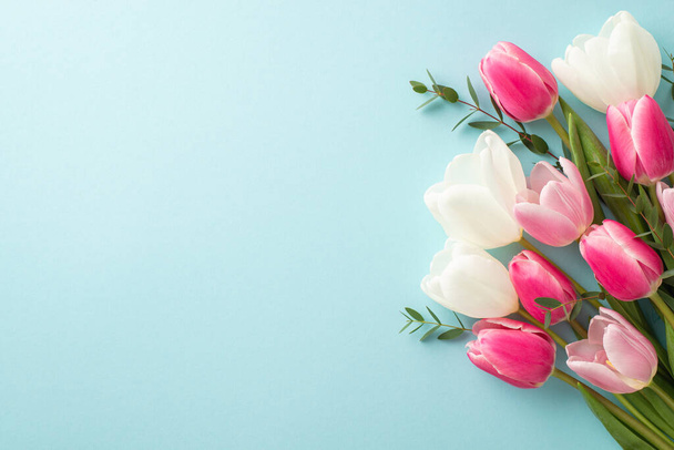 Koncept Dne matek. Horní pohled fotografie kytice bílých a růžových tulipánů na izolovaném pastelově modrém pozadí s copyspace - Fotografie, Obrázek