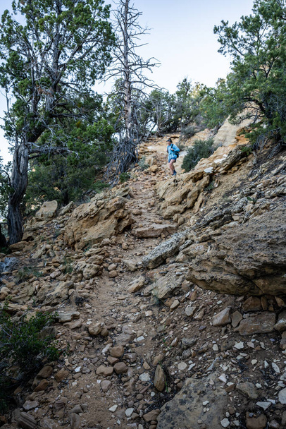 Woman Traverses Steep Downhill Toward Deertrap Mountain in Zion national Park - Zdjęcie, obraz