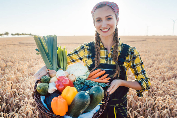 Čas sklizně v zemi, Žena farmář nabízí zeleninu s nimi na trh - Fotografie, Obrázek