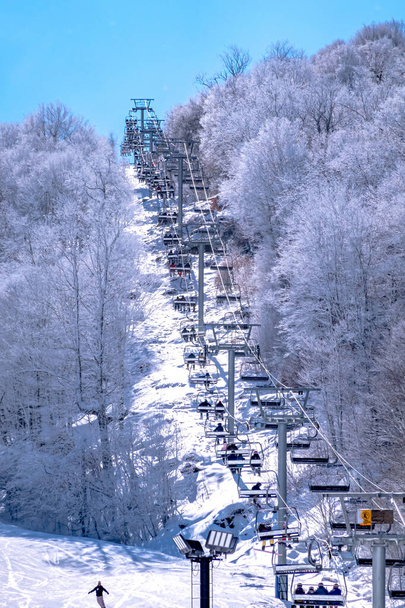 winter and snow scenery near beech mountain north carolina - Photo, Image