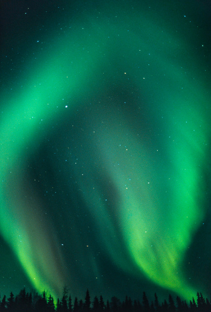 Északi fények-görbe - Fotó, kép
