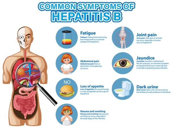 Информационный плакат общих симптомов Иллюстрация гепатита В - Вектор,изображение