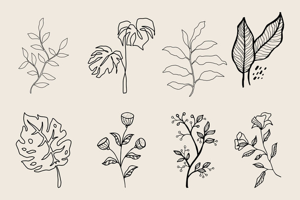 Hand drawn vector design floral elements - Vector, Image
