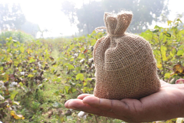 peruvian pima cotton farm with money bag for harvest are cash crops - Photo, Image