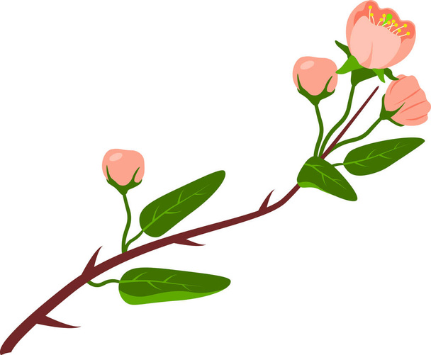 Design prvek s kvetoucí jarní větev přírodní složení - Vektor, obrázek