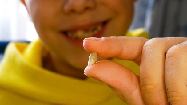 Dítě drží čerstvě padlý mléčný zub naproti ústům. Dítě ukazuje, z čeho vypadl dětský zub. Změna zubů u dětí. Péče o zuby a dutiny ústní. Dětská stomatologie - Fotografie, Obrázek