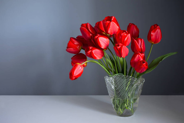 red tulips in glass vase on background blue wall - Fotó, kép