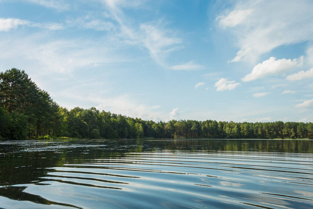 Reflexion der Wolken im See. Landschaft mit Waldsee an einem sonnigen Sommertag.  - Foto, Bild