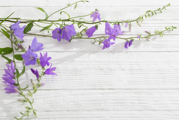 bluebell flowers  on white wooden background - Foto, imagen