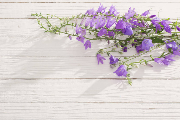Bluebell kwiaty na białym drewnianym tle - Zdjęcie, obraz