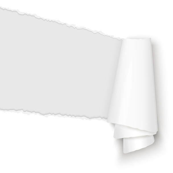 papel abierto rasgado blanco
 - Vector, Imagen