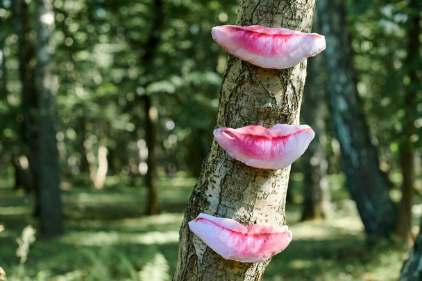 Objeto de arte de labios humanos en tronco de árbol en el fondo verde del bosque, árboles sabor sensación concepto ecológico, protección del medio ambiente exposición de arte al aire libre. Árboles sentido del gusto, unidad con la naturaleza - Foto, imagen