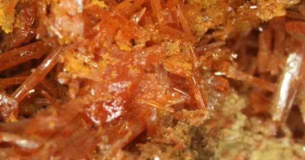 aghi di crocoite marrone rosso su roccia - Filmati, video