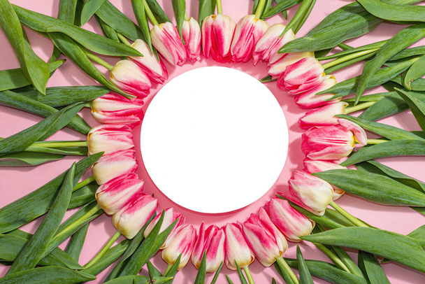 Wreath from pink tulips with white round stand. Festive concept for Mother's Day or Valentines Day. Greeting card, Easter flat lay, hard light, dark shadow, place for text - Photo, Image