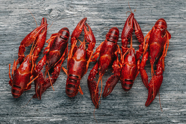 high angle view of some cooked crayfishes arranged in a line side by side on a gray rustic wooden table - Фото, изображение