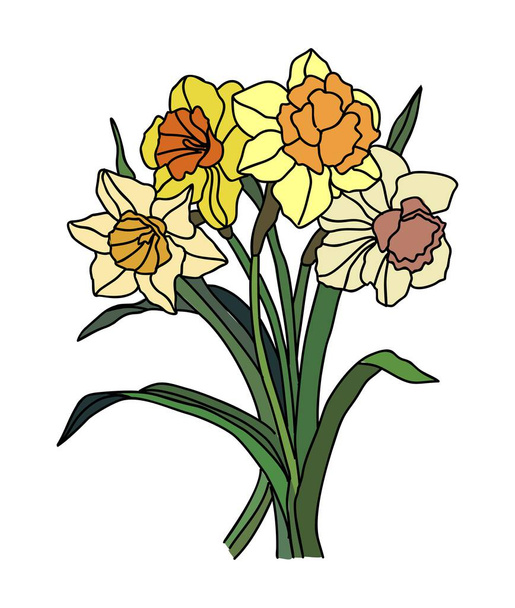 Daffodil 3月の誕生月の花のカラフルなベクトルイラスト。ロゴ、タトゥー、パッケージ、カード、壁アート、ポスターのためのモダンなミニマリストの手描きデザイン。白を基調とした線画 - ベクター画像