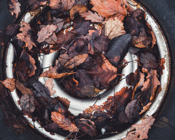 Neumático cubierto de hojas marrones tumbadas en el suelo - Foto, Imagen
