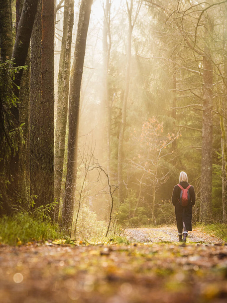 Woman walking on path in forest - Foto, imagen