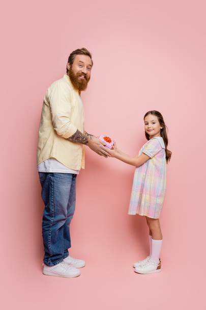 Positiivinen tyttö antaa lahjan parrakas isä ja katsot kameraa vaaleanpunaisella taustalla  - Valokuva, kuva