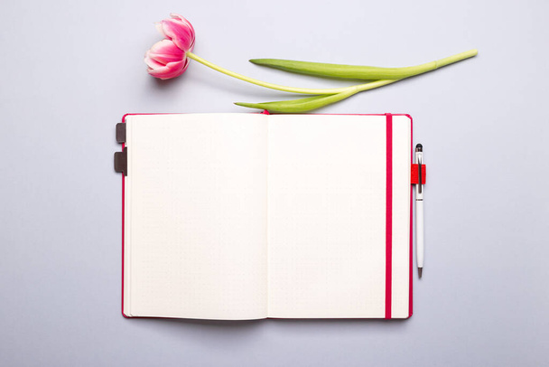 Bloc de notas rosa maqueta y tulipán rosa primavera sobre fondo gris con espacio de copia, disposición plana - Foto, Imagen