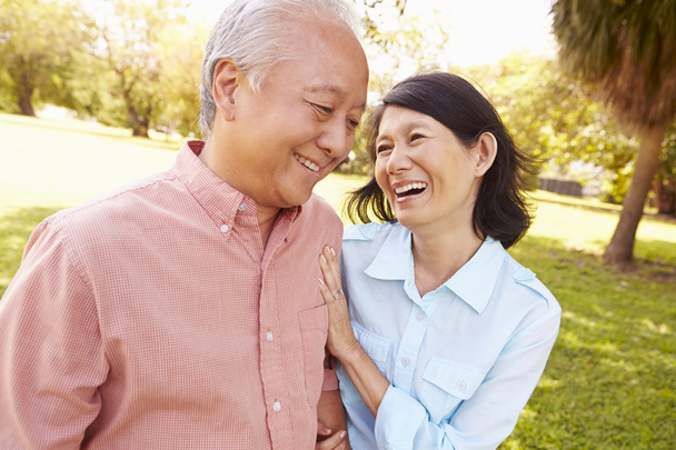 Senior Asian Couple in Park - Photo, image