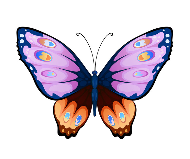 Hermosa mariposa colorida
 - Vector, Imagen