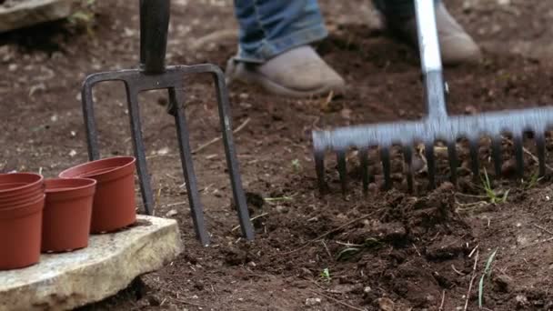 Κηπουρός προετοιμασία του εδάφους με τσουγκράνα για την καλλιέργεια φυτών μεσαίου αργή κίνηση πυροβόλησε επιλεκτική εστίαση - Πλάνα, βίντεο