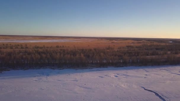 Dry brown grass in a winter meadow. Clip. Aerial view of blue clear sky and golden field - Footage, Video