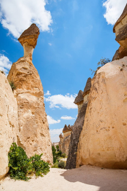Pasabag Monks Valley w Cappadocia Turcji z wyjątkowymi formacjami skalnymi i kominami bajkowymi - Zdjęcie, obraz