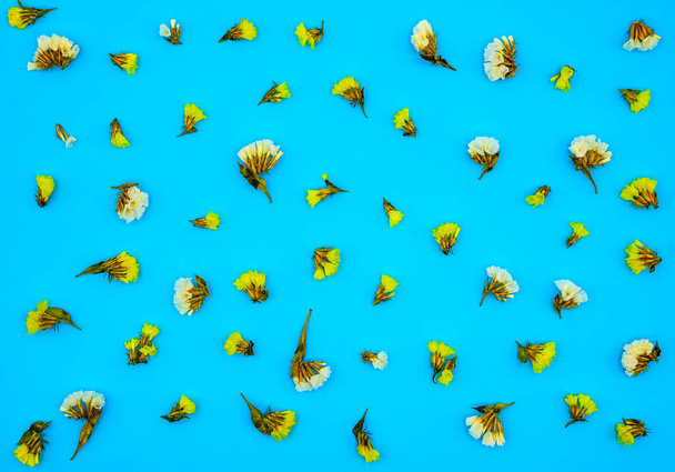 tausta ja tapetti kuivia valkoisia ja keltaisia luonnonvaraisia kukkia lähikuva sinisellä taustalla ylhäältä näkymä - Valokuva, kuva