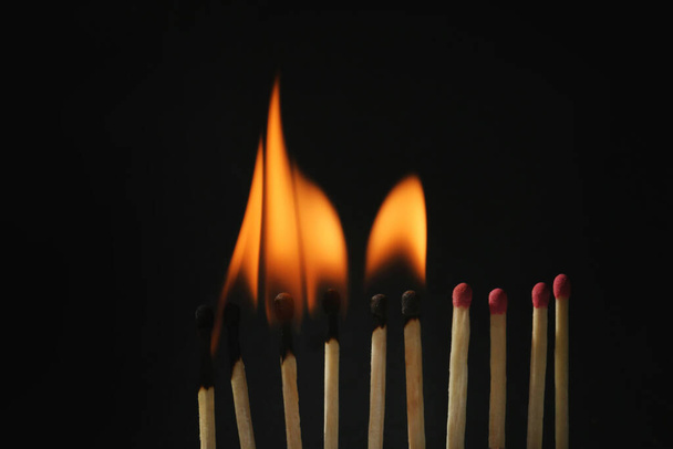 Burning and whole matches on black background, closeup. Stop destruction concept - Fotoğraf, Görsel