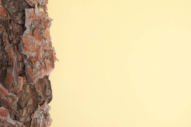 Tree bark pieces on beige background, top view. Space for text - Zdjęcie, obraz