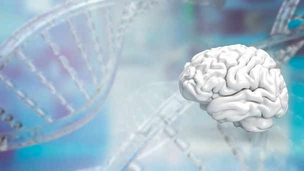 Cervello sullo sfondo del DNA per la scienza o la salute e il concetto medico rendering 3d - Foto, immagini