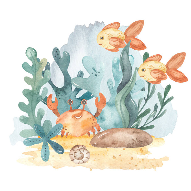 Sea animals, crab, fish, algae, corals, shell, ocean floor Underwater composition - Фото, изображение