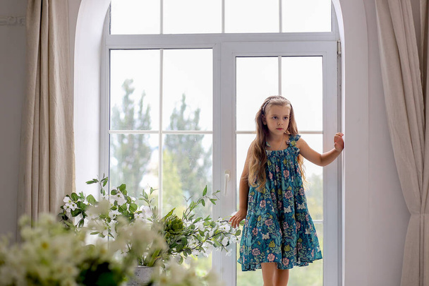 Cute baby girl Caucasian in a green floral sundress standing on the windowsill by the window. Curtains and curtains. House. Interior design concept. Copy space - Фото, изображение