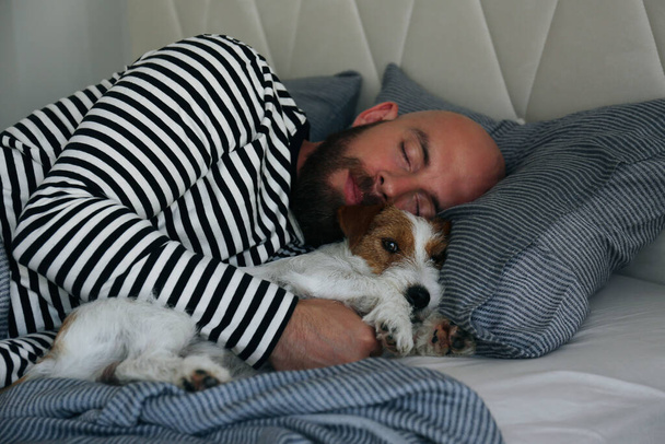 Portrait of a bearded man sleeping in bed with his wire haired jack russell terrier. Emotional support animal concept. Adult male and his dog napping together. Close up, copy space, background. - 写真・画像